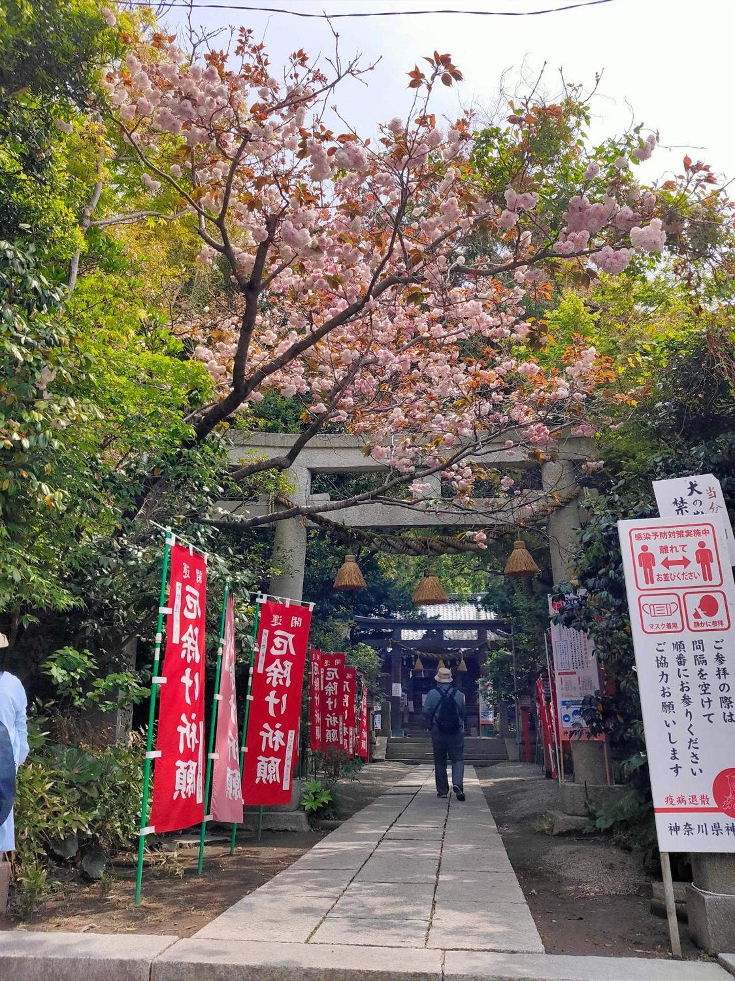 Jiro De Kamakura Appartement Buitenkant foto